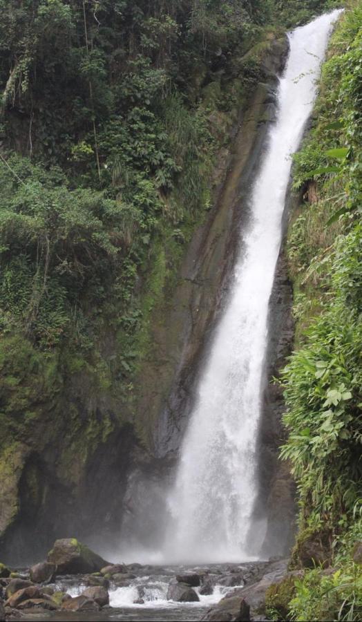 Quinta Los Volcanes Turrialba Eksteriør bilde