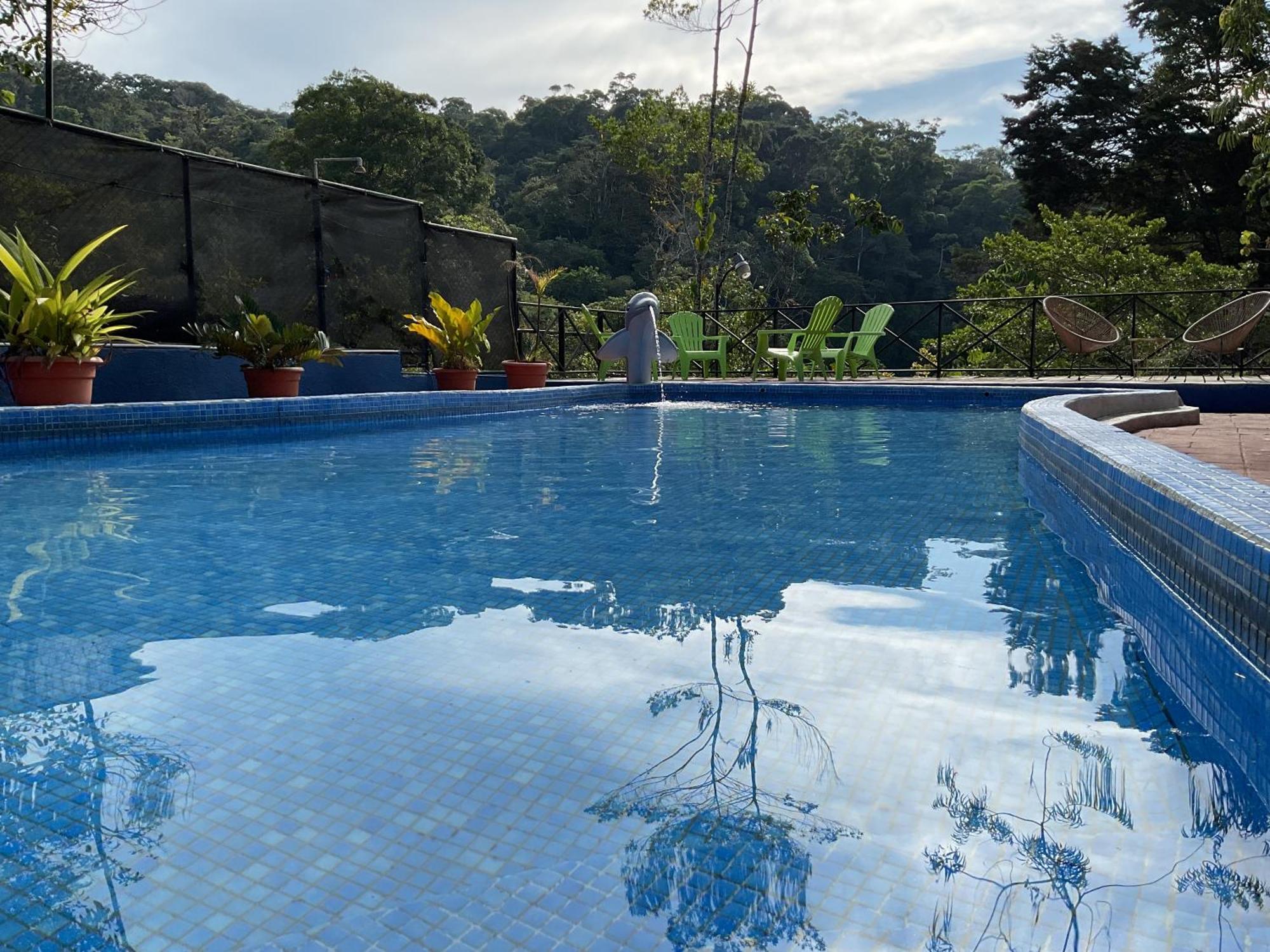 Quinta Los Volcanes Turrialba Eksteriør bilde