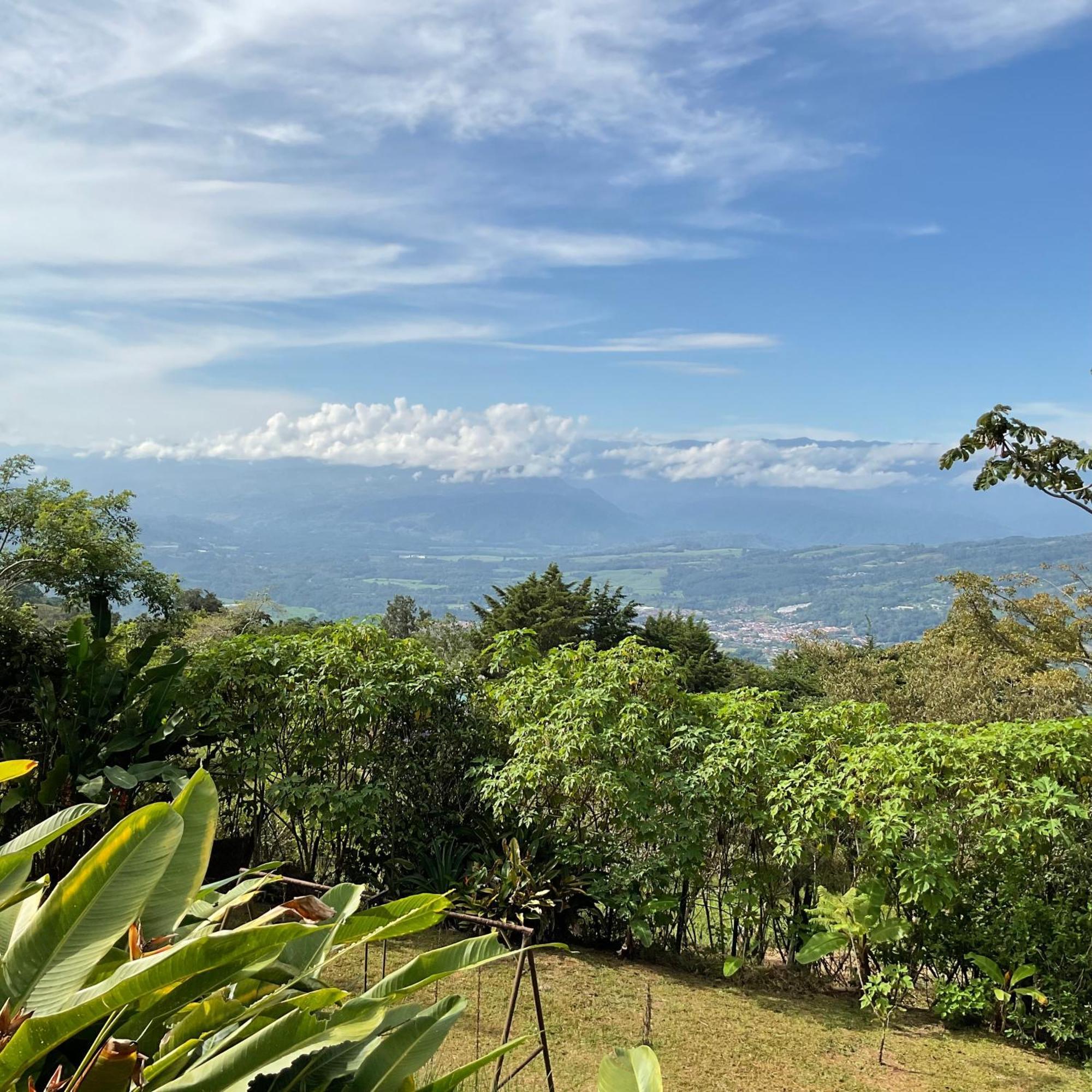 Quinta Los Volcanes Turrialba Eksteriør bilde