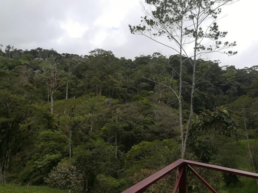 Quinta Los Volcanes Turrialba Eksteriør bilde